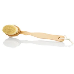 elemis skin brush