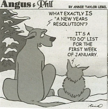 New Year’s Resolutions