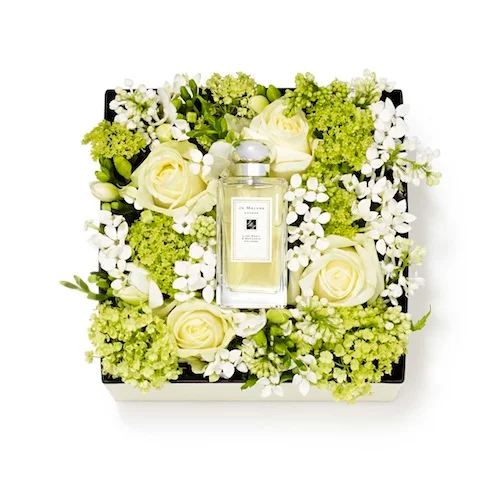 Jo Malone London Blooms 