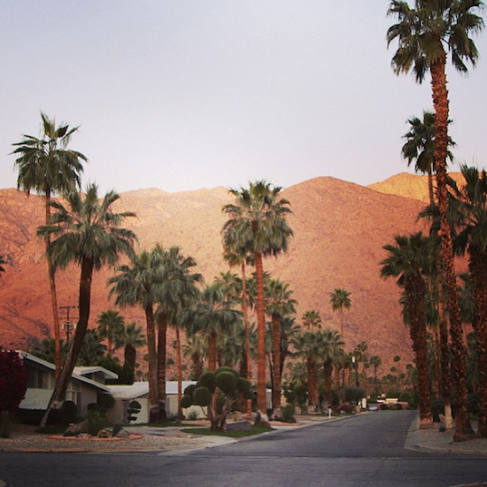 I Loved Palm Springs…