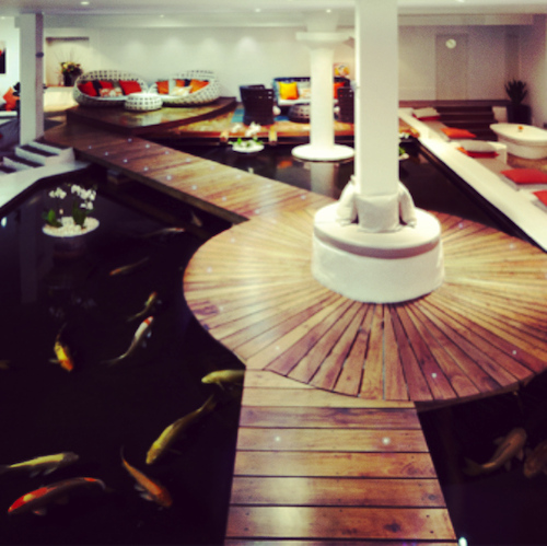 koi carp lounge