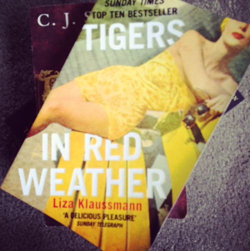 tigers in red weather summer read