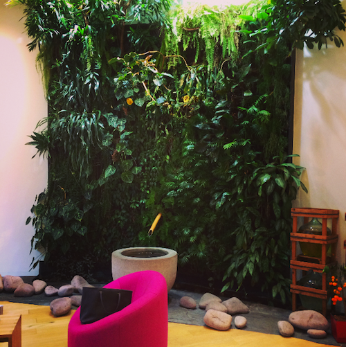 weleda espace living wall