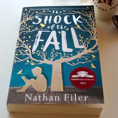 Book Rave: The Shock of the Fall