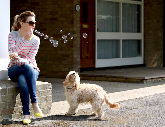 dexter cockapoo bubbles