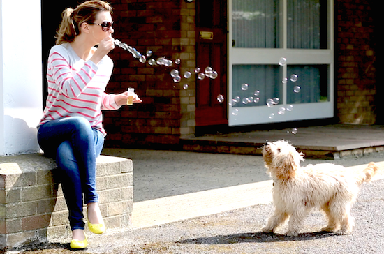 dog and bubbles