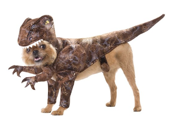 dinosaur dog outfit