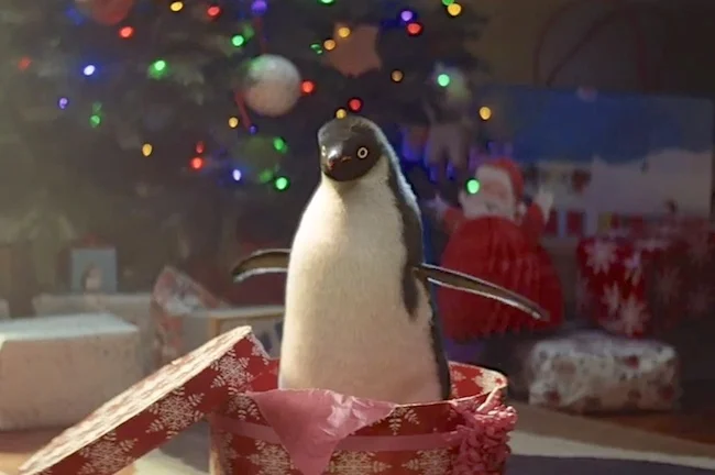 watch monty the penguin 