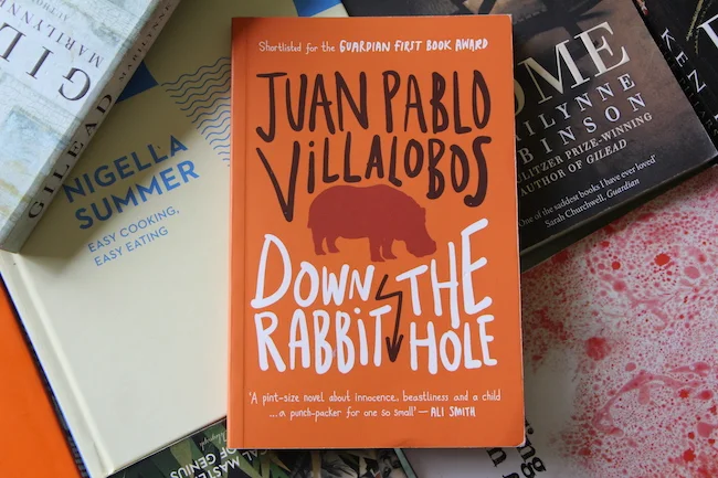 Christmas Reading: Down the Rabbit Hole