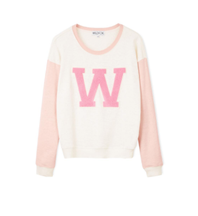 wildfox cheer squad sweatshirt