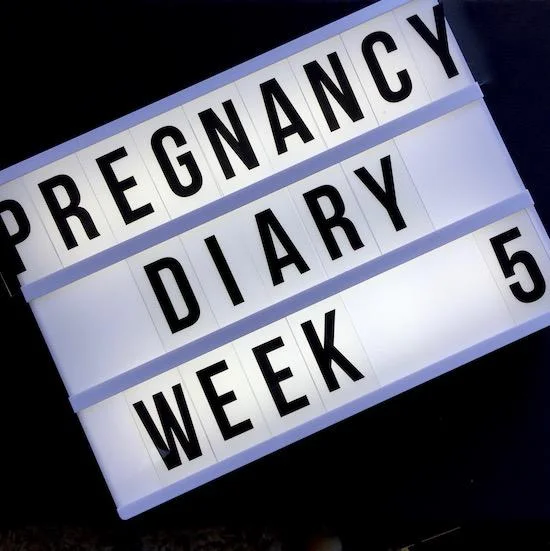 early pregnancy diary week 5