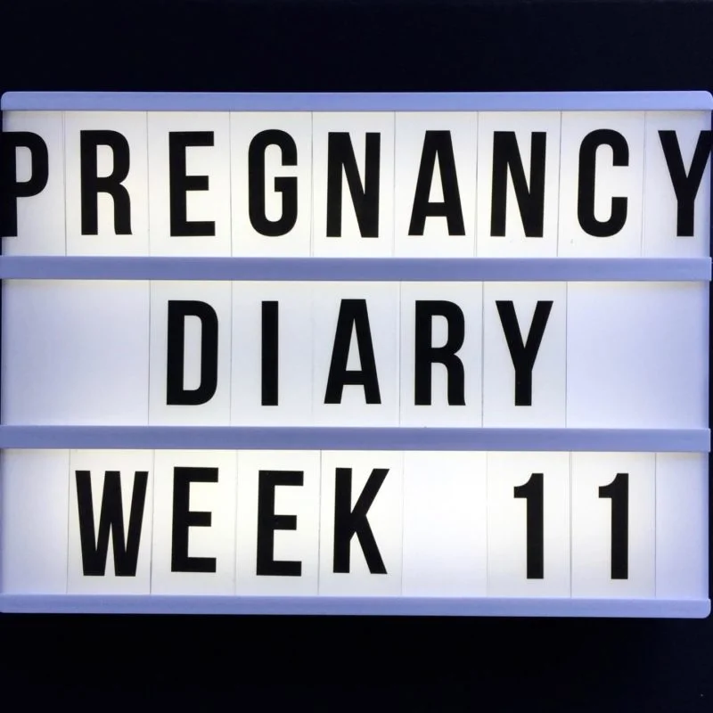 early pregnancy diary