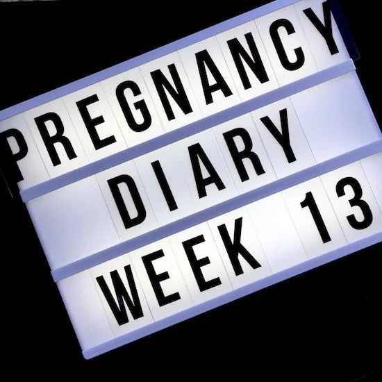 pregnancy diary 