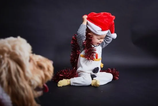 ruth crilly family christmas