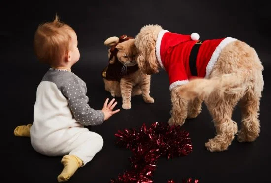 ruth crilly family christmas