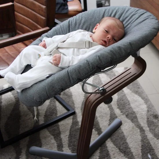 EvoMove Nomi Highchair Review