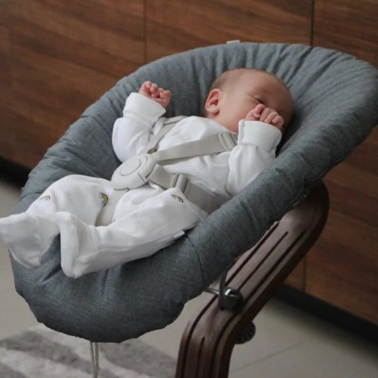 EvoMove Nomi Highchair Review
