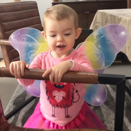 toddler fairy wings