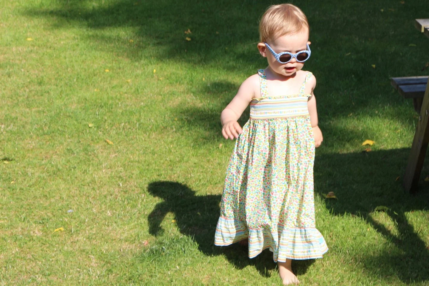 little bird dress