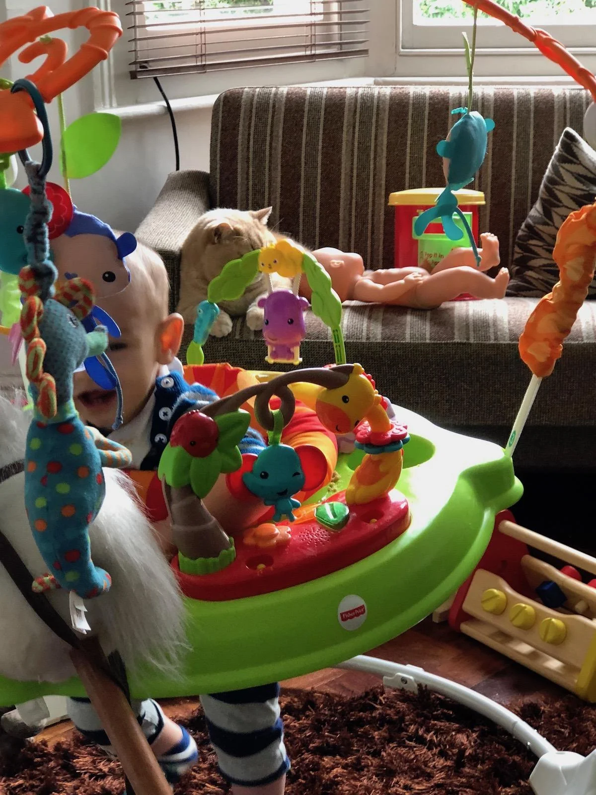 fisher price jumperoo review