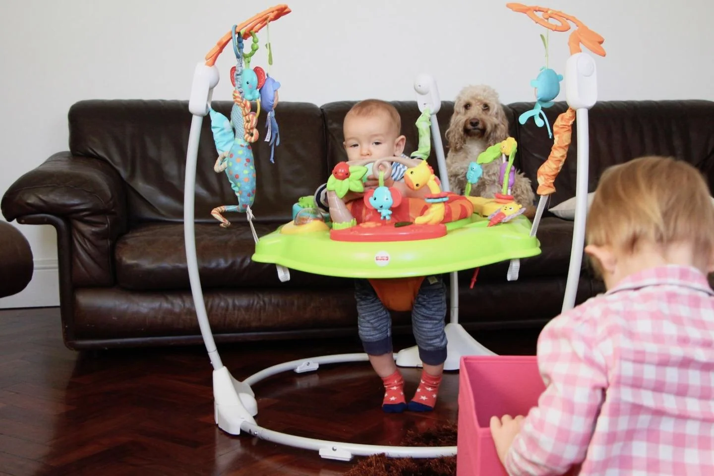 fisher price jumperoo review