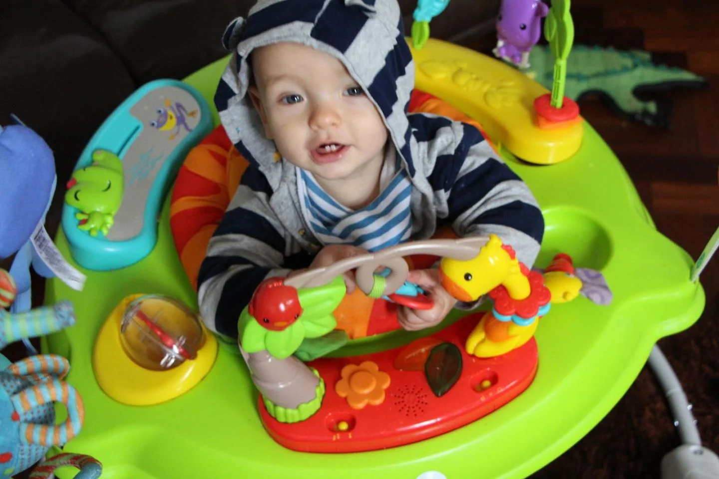 fisher price jumperoo review