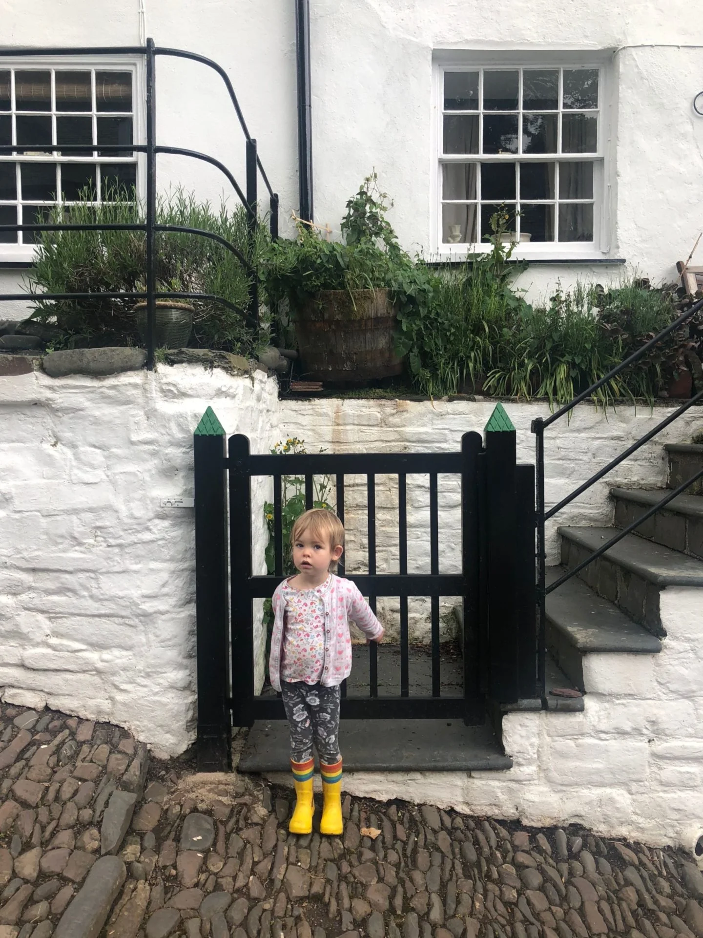 ruth crilly walking clovelly