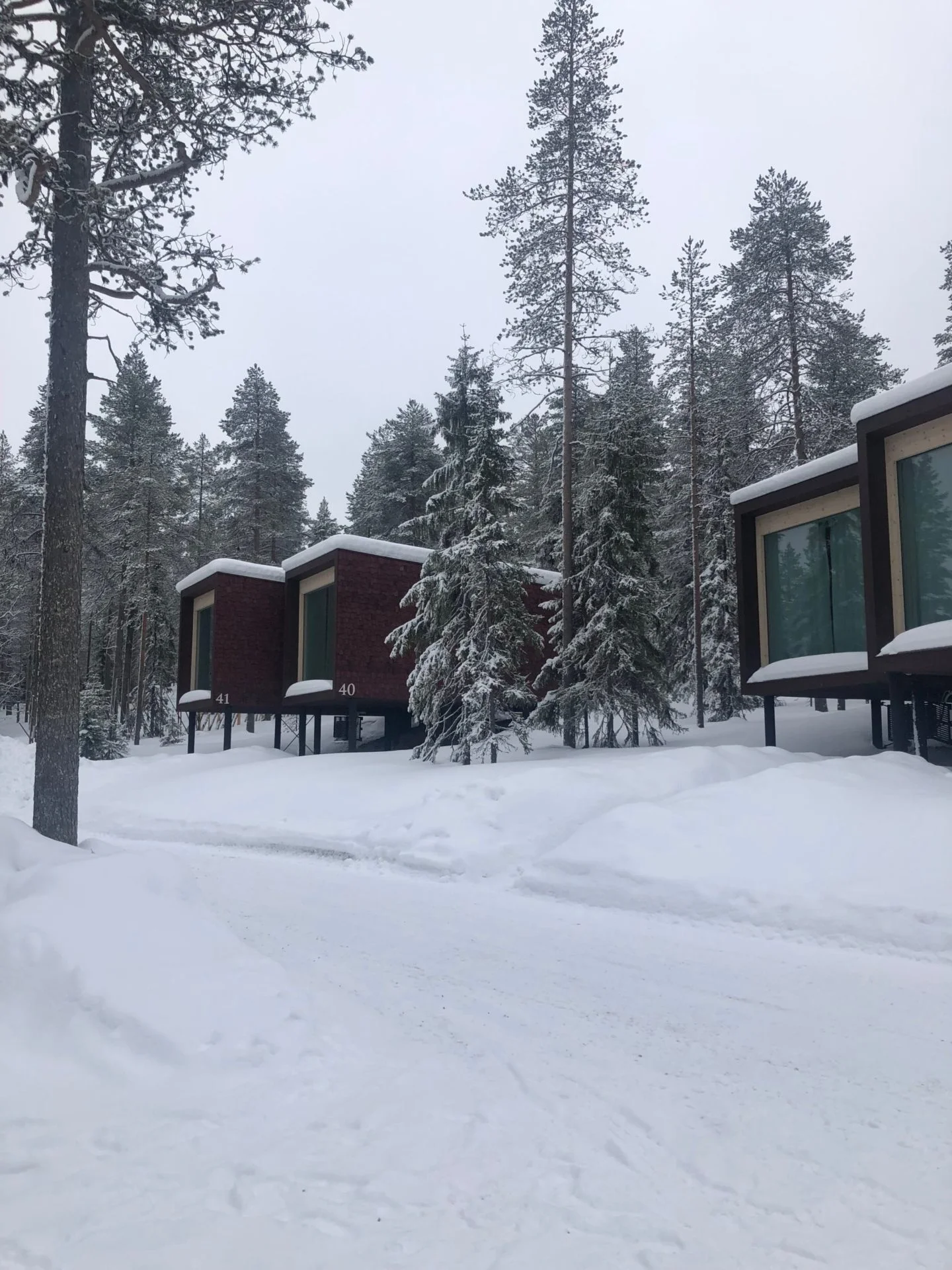 arctic treehouse hotel review