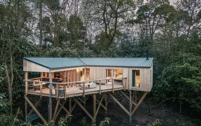 Skylark Treehouses Review: The Mind/Soul Reset